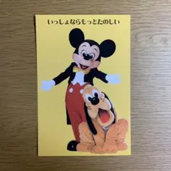 東京ディズニーリゾートTDR ポストカード ミッキー プルート 実写 旧フェイス