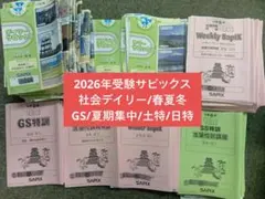 2026年最新】デイリーチェック サピックスの人気アイテム - メルカリ