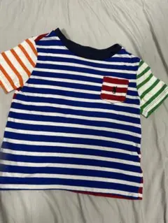 PoloストライプTシャツ