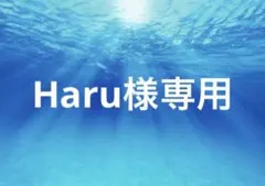 Haru様専用
