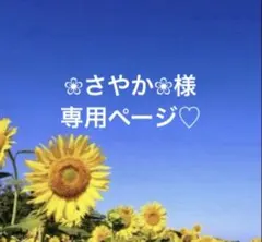 ＊専用ページ♡＊
