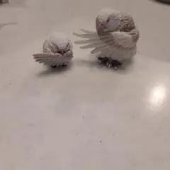 執事　White鳥 フィギュア 2種セット ガチャ