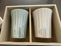 新品未使用 Francfranc タンブラー2個セット木箱付き パステルカラー