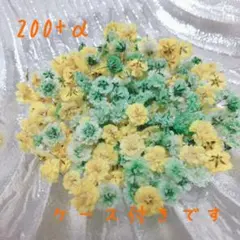 MR様 リクエスト 3点 まとめ商品