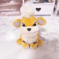 ポケモン ぬいぐるみ Pokémon fit ポケモンfit ガーディ