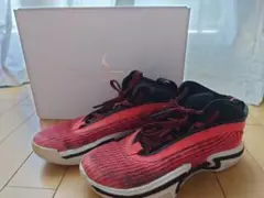 [箱付き]Air Jordan 36 DA9054-660