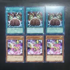 遊戯王　洗脳ブレインコントロール　ミラージュドラゴン　3枚セット　84