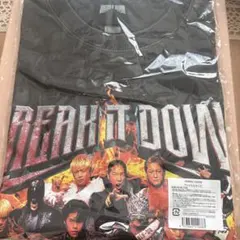 THE RAMPAGE Tシャツ　Ｌサイズ