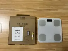 Item thumbnail for item eb951620-e549-4a72-a3b6-40ed18957609