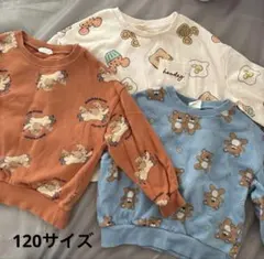 【120サイズ】キッズ トレーナー 3点セット / 美品2枚＋薄汚れ1枚