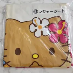 ハローキティ１番くじ 日焼けキティ レジャーシート