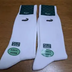 Crocodile 抗菌防臭 ホワイトソックス 23-25 cm