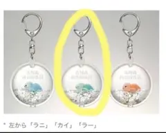 2026年最新】ana ホヌ キーホルダーの人気アイテム - メルカリ