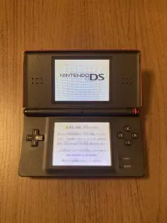 【動作確認済】 ニンテンドーDS Lite レッド 本体のみ タッチペンあり