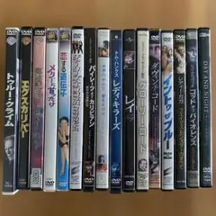 様々なジャンルの映画 DVD 16作品セット (ケース無し)