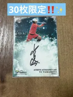 稲村亜美 2016 BBM 始球式カード タレント 紫箔サイン 非売品 FP24