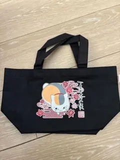 Item thumbnail for item 469ee352-3e8d-4686-bfe2-66be526dbf65