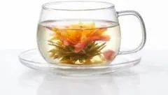 ●紅茶 耐熱ガラスカップ＆ソーサー 230ml 透明