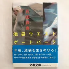 【石田衣良】池袋ウエストゲートパークシリーズ