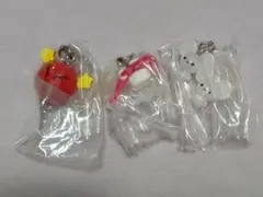 ポケットモンスター めじるしアクセサリー2 ポケセン限定 カプセルトイ