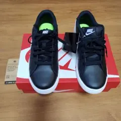 Nike ウィメンズ コートロイヤル