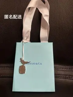 ティファニー 銀座本店限定チャーム付き ショッパー 紙袋