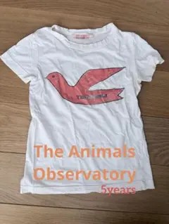 The Animals Observatory 5歳のサムネイル