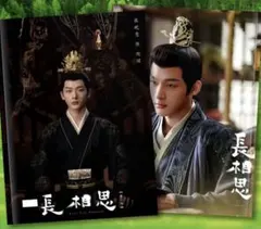 希少 陳情令 忘羨 写真集 pb 肖戰 王一博 《醉梦》 - メルカリ