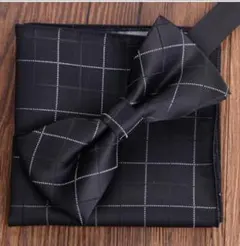 蝶ネクタイ　チーフ　2点　入学式　卒業式　結婚式　フォーマル　新郎　二次会