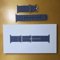 Apple純正 Apple Watch オーシャンバンド ブルー