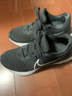 NIKE リアクトインフィニティ ラン フライニット