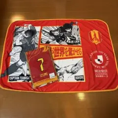 【新品未使用】名古屋グランパス タオルマフラーとブランケットセット ①