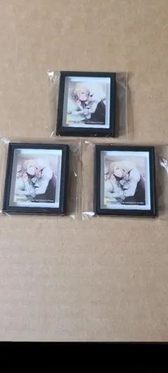 【未使用】うたプリ Beautiful Memories マグネット カミュ3個