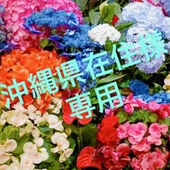 ★沖縄県在住様専用です★