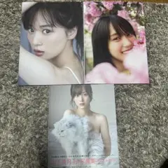 Item thumbnail for item d56ca8cc-2c14-448d-92fc-8a6e3e2fa8de