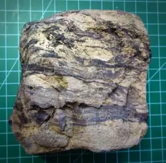 津軽海峡　鬼泊産　珪化木？化石？ 水石 鑑賞石 自然石 紋様石 盆栽石 津軽海峡 珪化木？化石？ 水石 鑑賞石 自然石 紋様石 盆栽石 - メルカリ