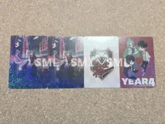 CrazyRaccoon CR コレクションカード コレカ selly セリー