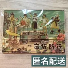 嵐 アクリルスタンド (家族旅行 in Hawaii)