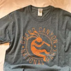 GILDAN グランドキャニオン Tシャツ グレー L