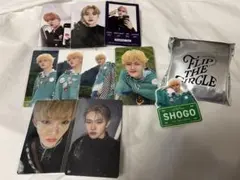 INI 田島将吾 トレカ ネームプレート