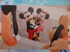 新品♪東京ディズニーランド 35周年 ミッキー ミニー 実写 ポストカード