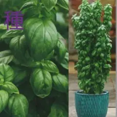 ナナ様 リクエスト 2点 まとめ商品