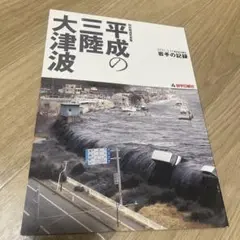 平成の三陸大津波 2011.3.11 岩手の記録