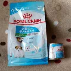 Item thumbnail for item 680f8afd-c817-44cf-9356-0912f583e4c9