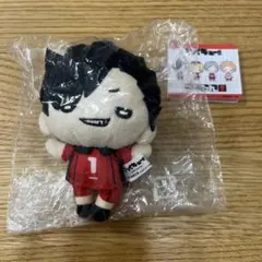バレーボール男子日本代表 ぬいぐるみキーホルダー 石川祐希 - メルカリ
