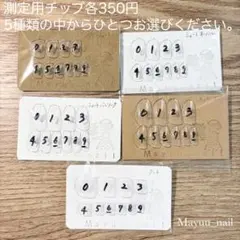 測定用ネイルチップ