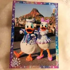 ディズニースペシャルフォト　ドナルドデイジー　25周年コスチューム