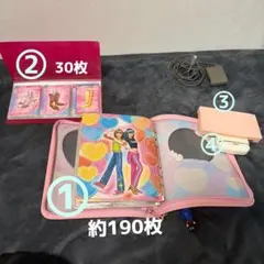 ダスティンペドロイア ルーキー直筆サインカード レッドソックス ダスティンペドロイア ルーキー直筆サインカード レッドソックス