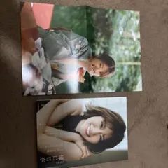 Item thumbnail for item 4cfe945d-f41d-4446-bf65-f20c991a5c5d