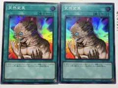 2枚セット 遊戯王 メタモルフォーゼ(突然変異) スーパーレア LIMIT